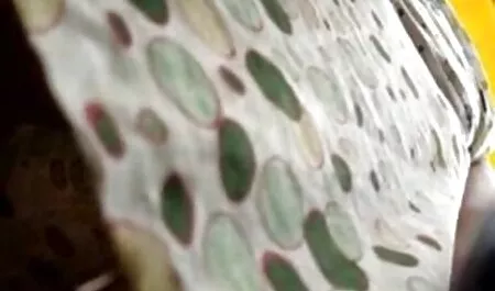 Schlanke sexvideo mutter und tochter schwarze Hündin wird hart auf die Couch genagelt