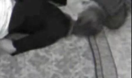 Dildo fahren mit dem freeporn mutter tochter Fahrrad